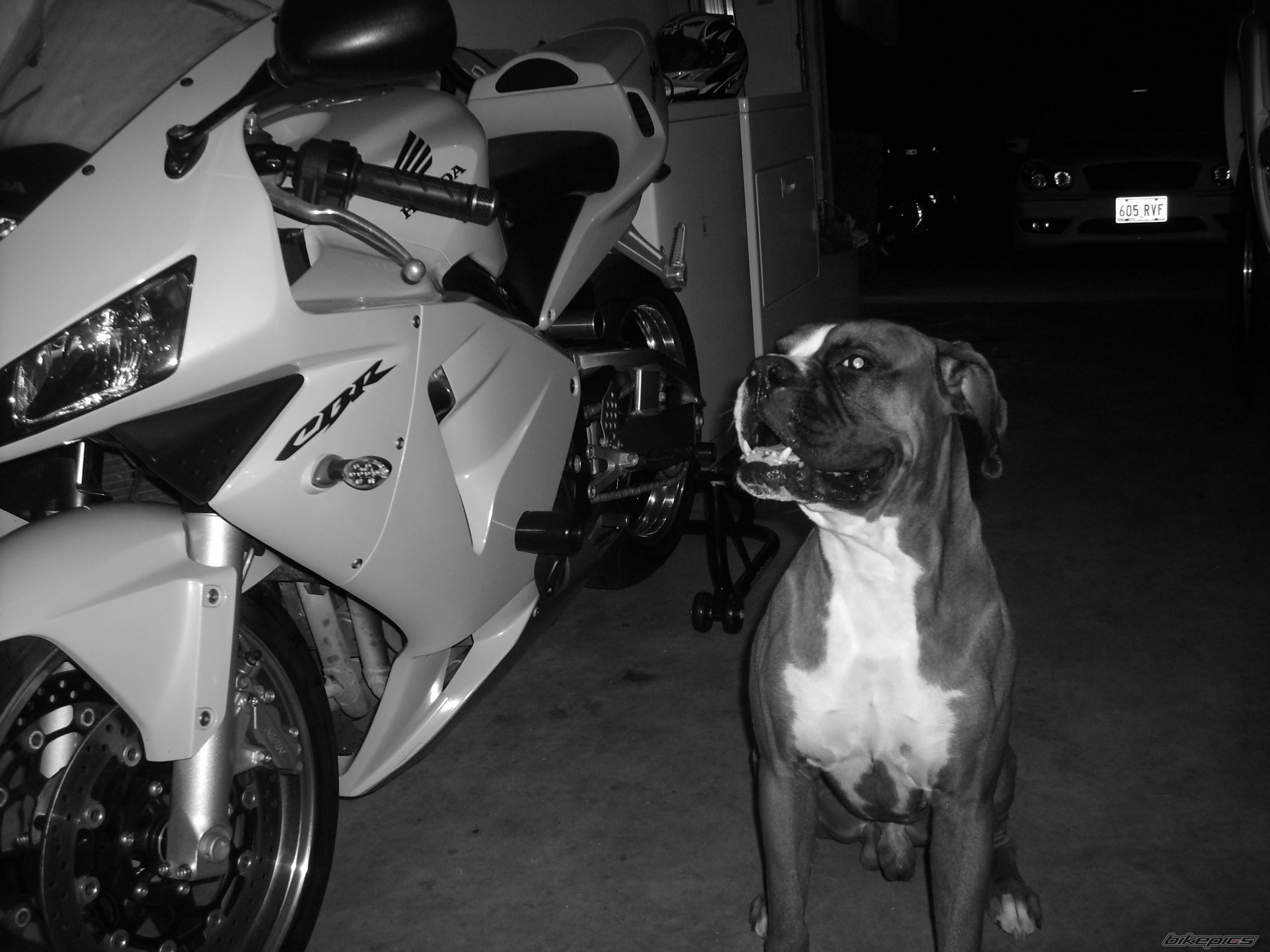 Bike Photo 993258