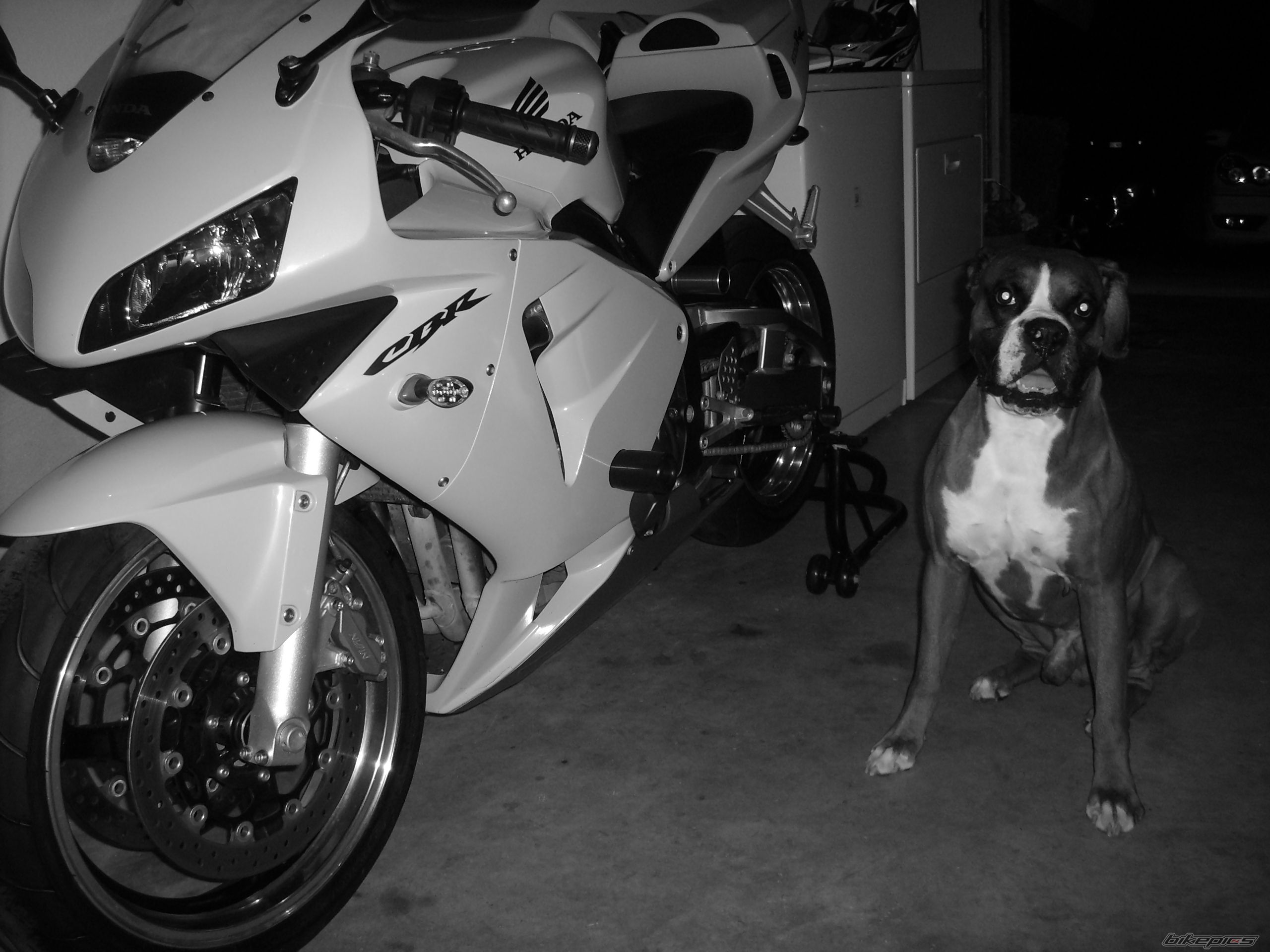 Bike Photo 993259