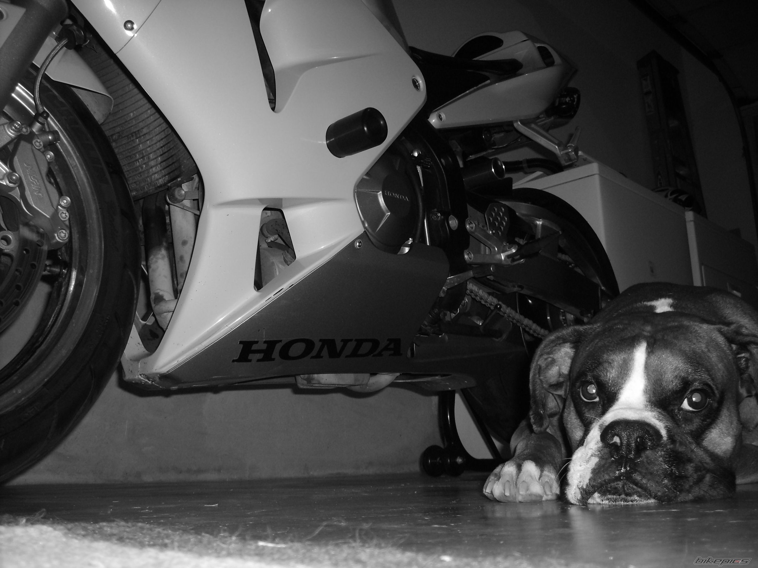 Photo 993260