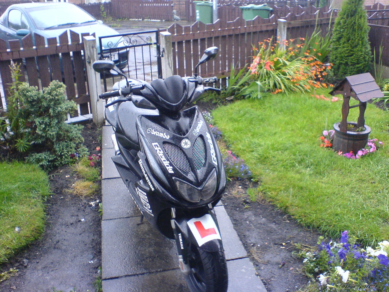 Photo 993265