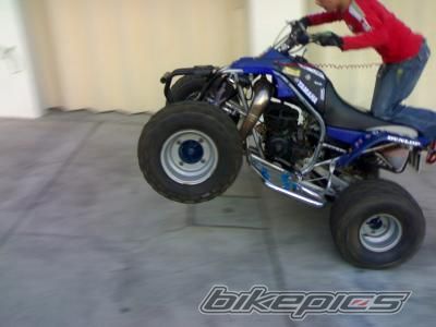 Photo 993284