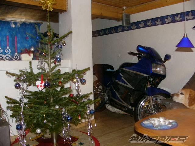 Photo 99339