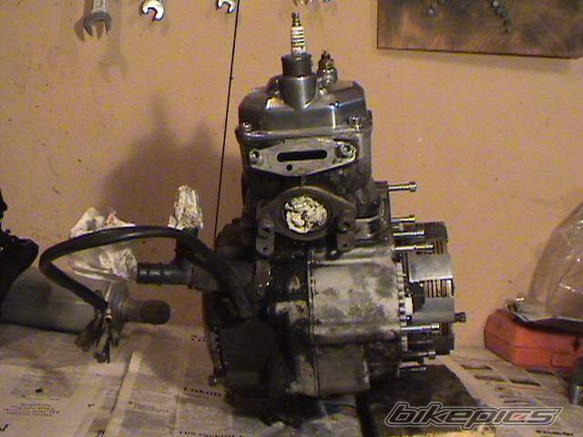 Photo 99362