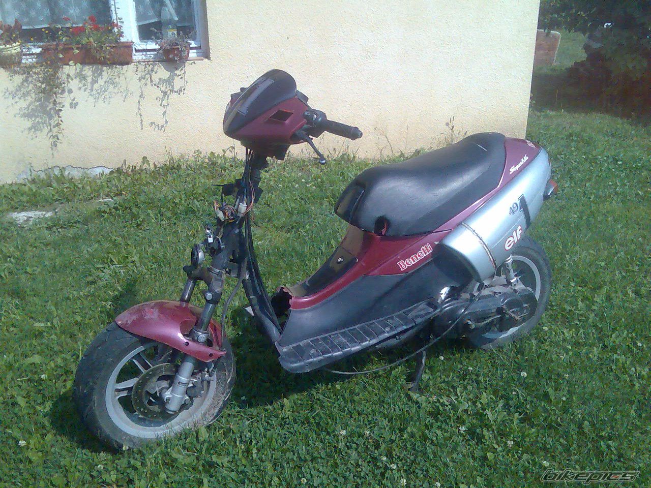 Photo 993646