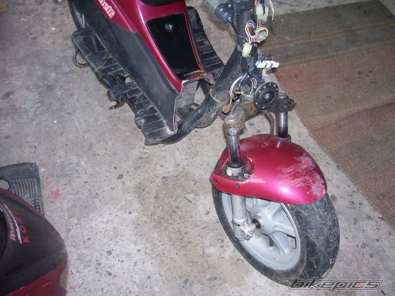 Photo 993663