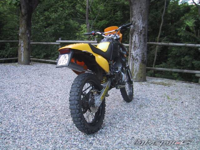 Photo 99368