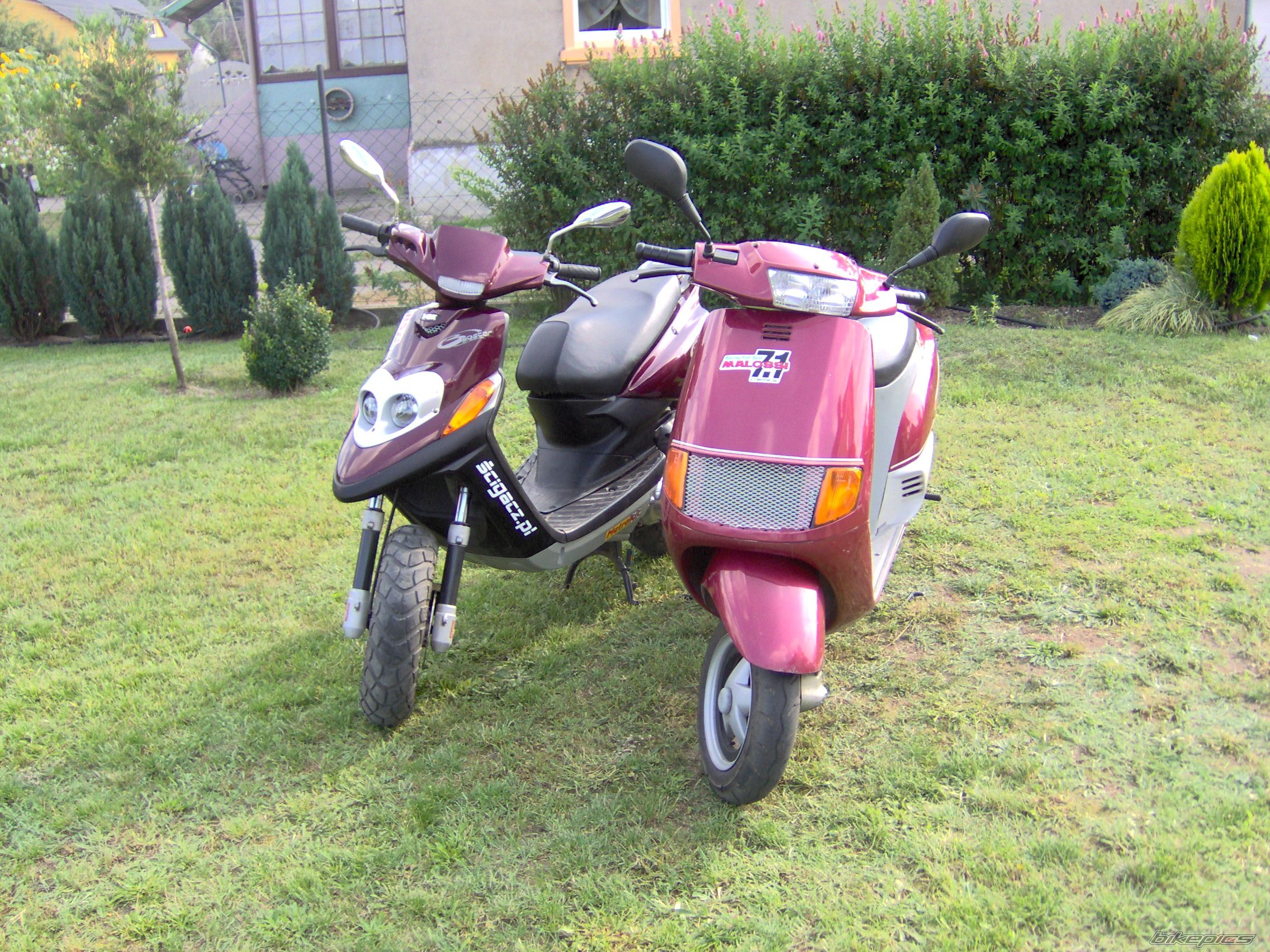 Photo 993819