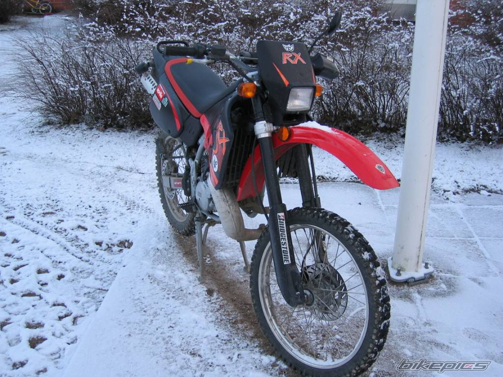 Photo 99393