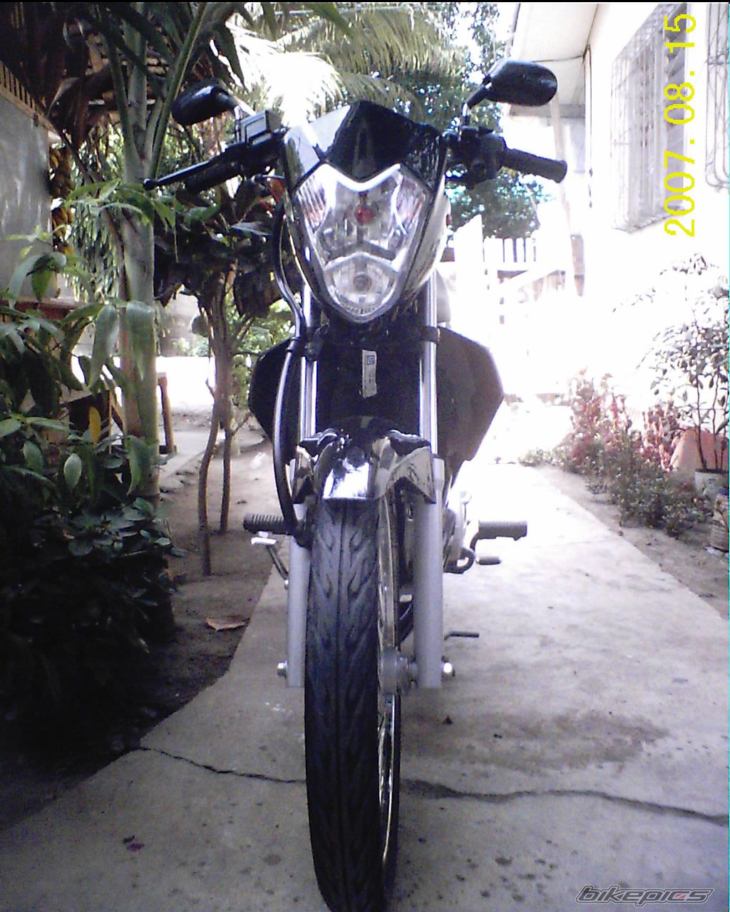 Photo 994343