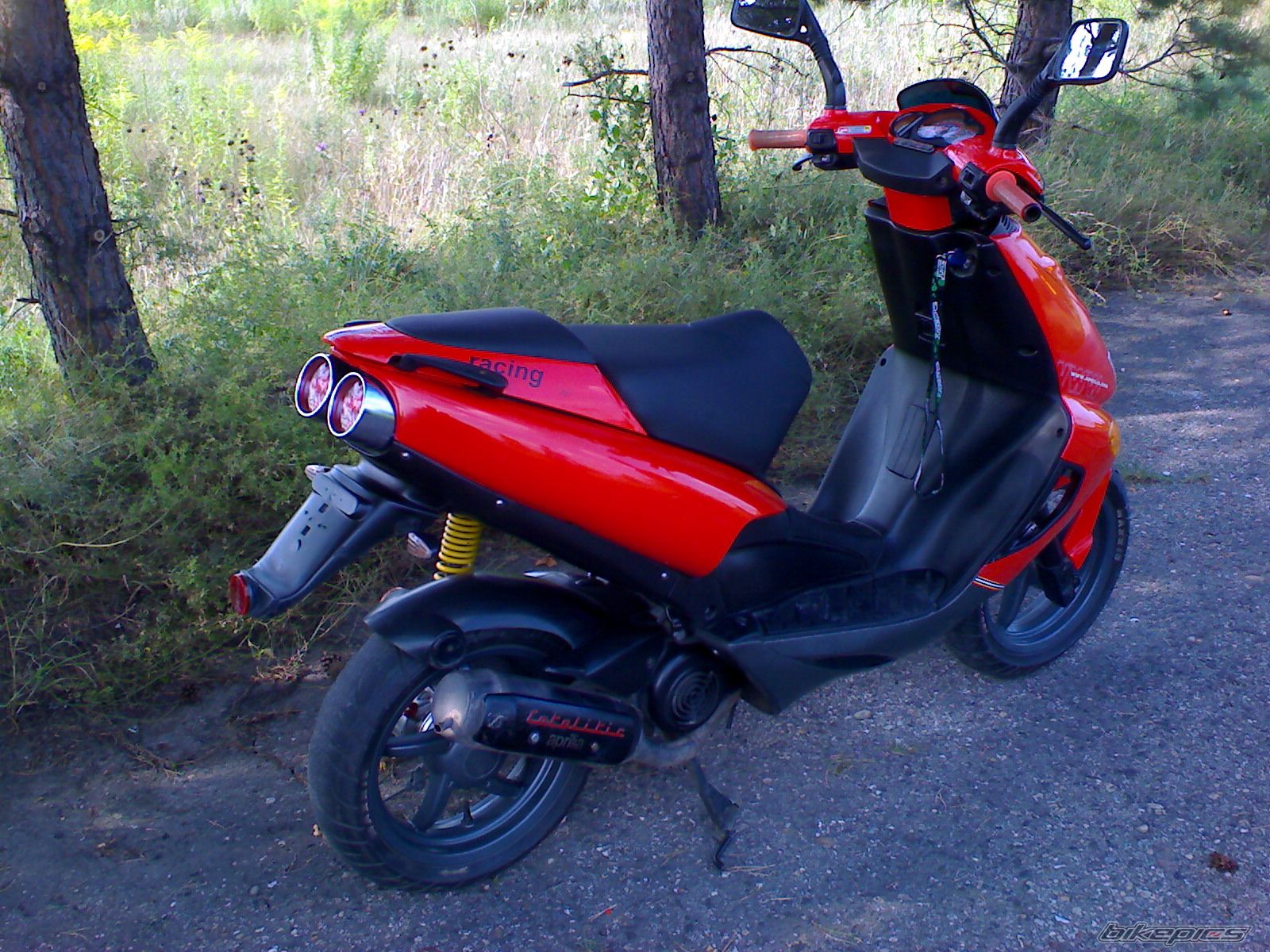Photo 994607