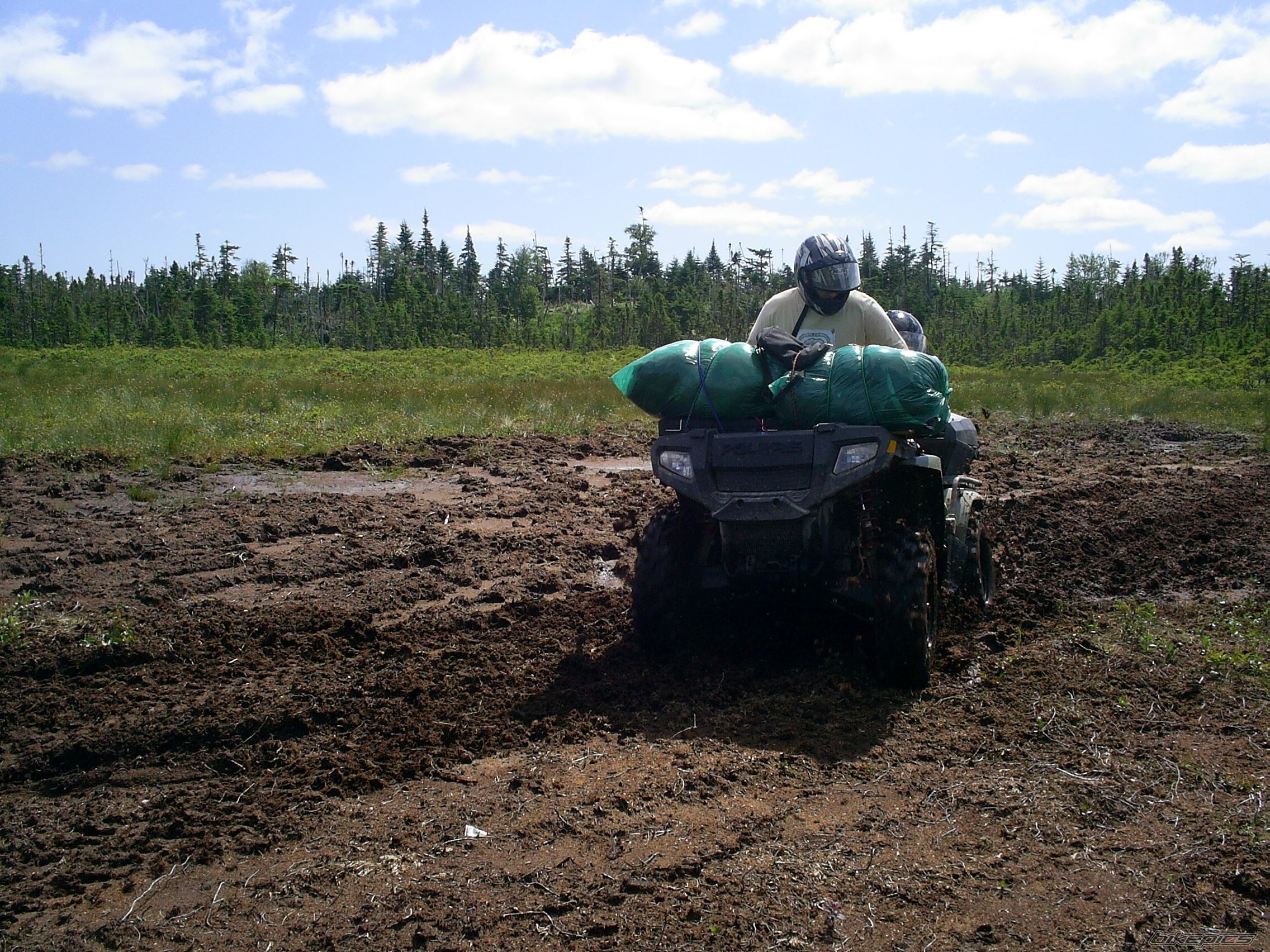 Photo 994659