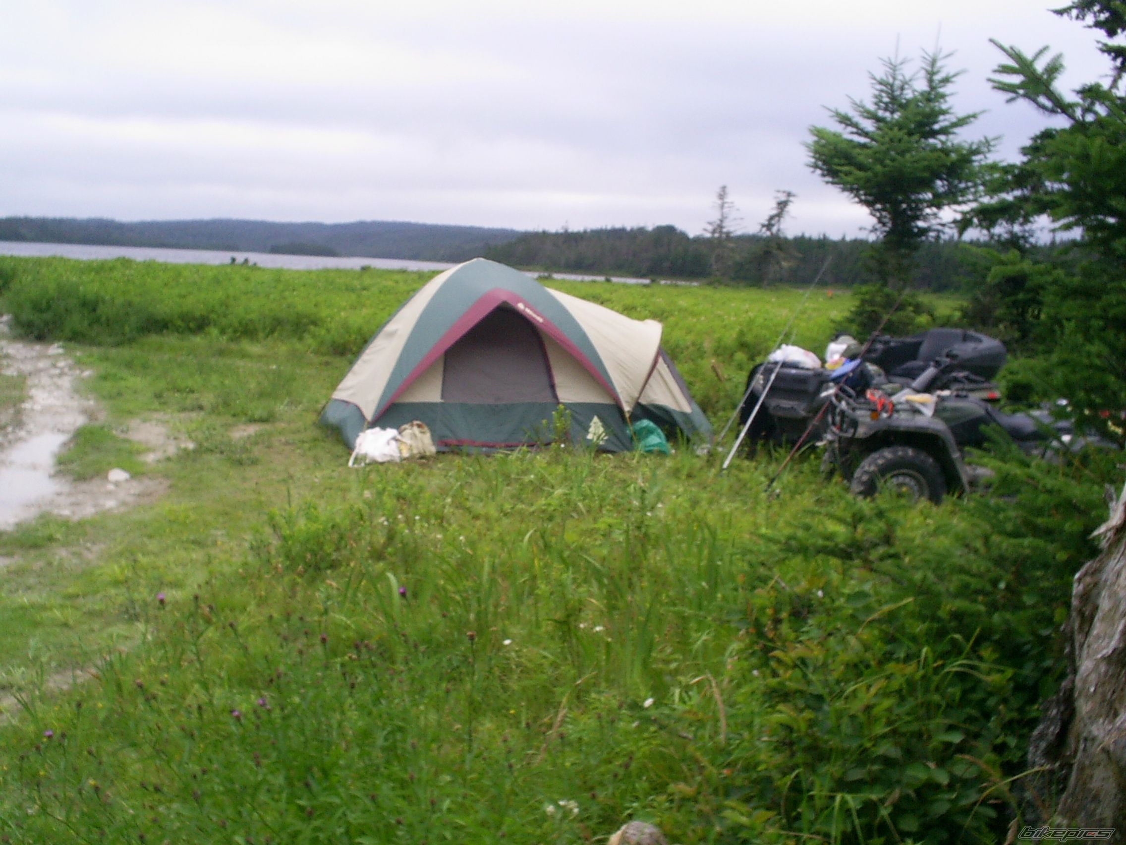 Photo 994681