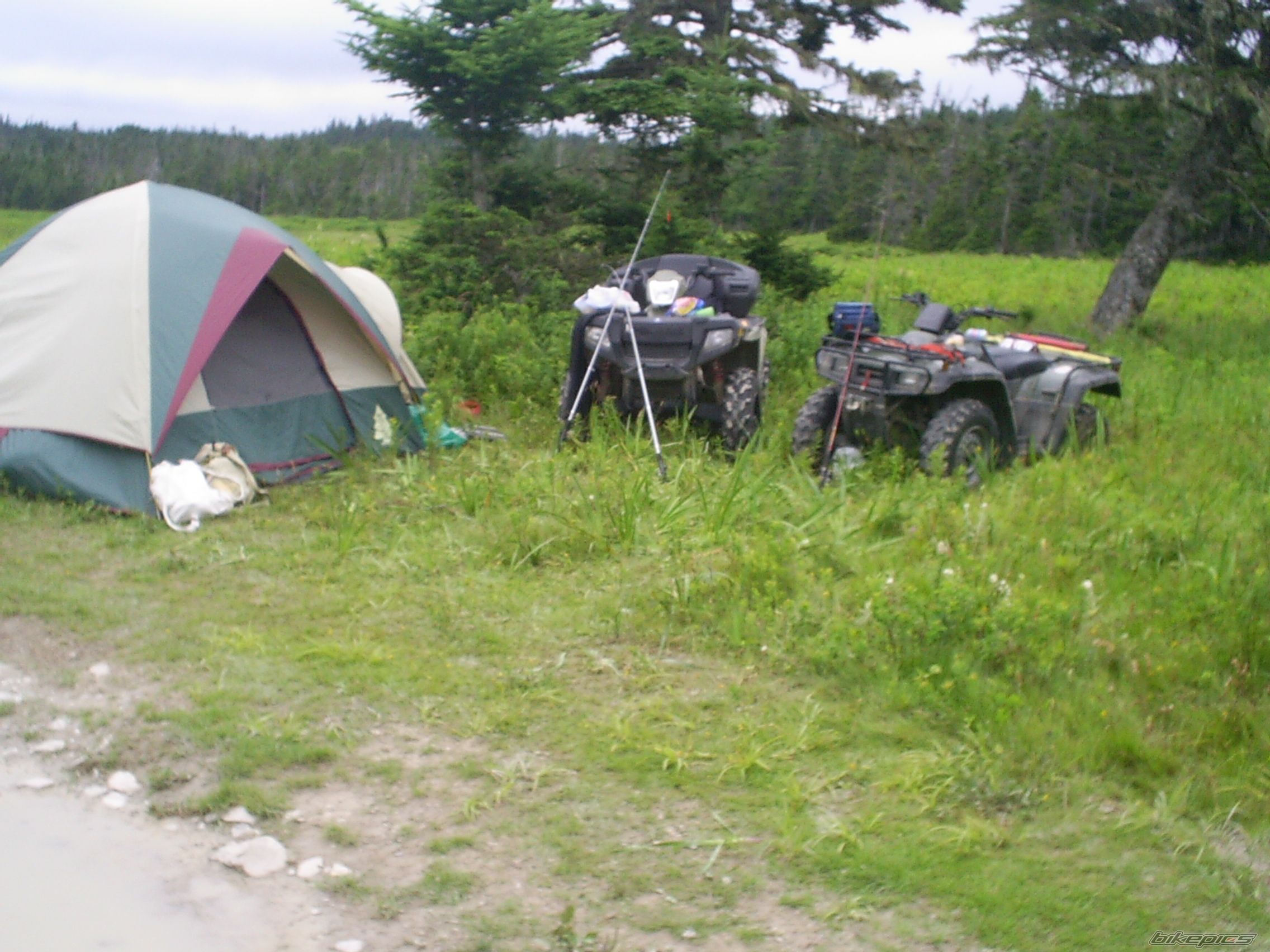 Photo 994682