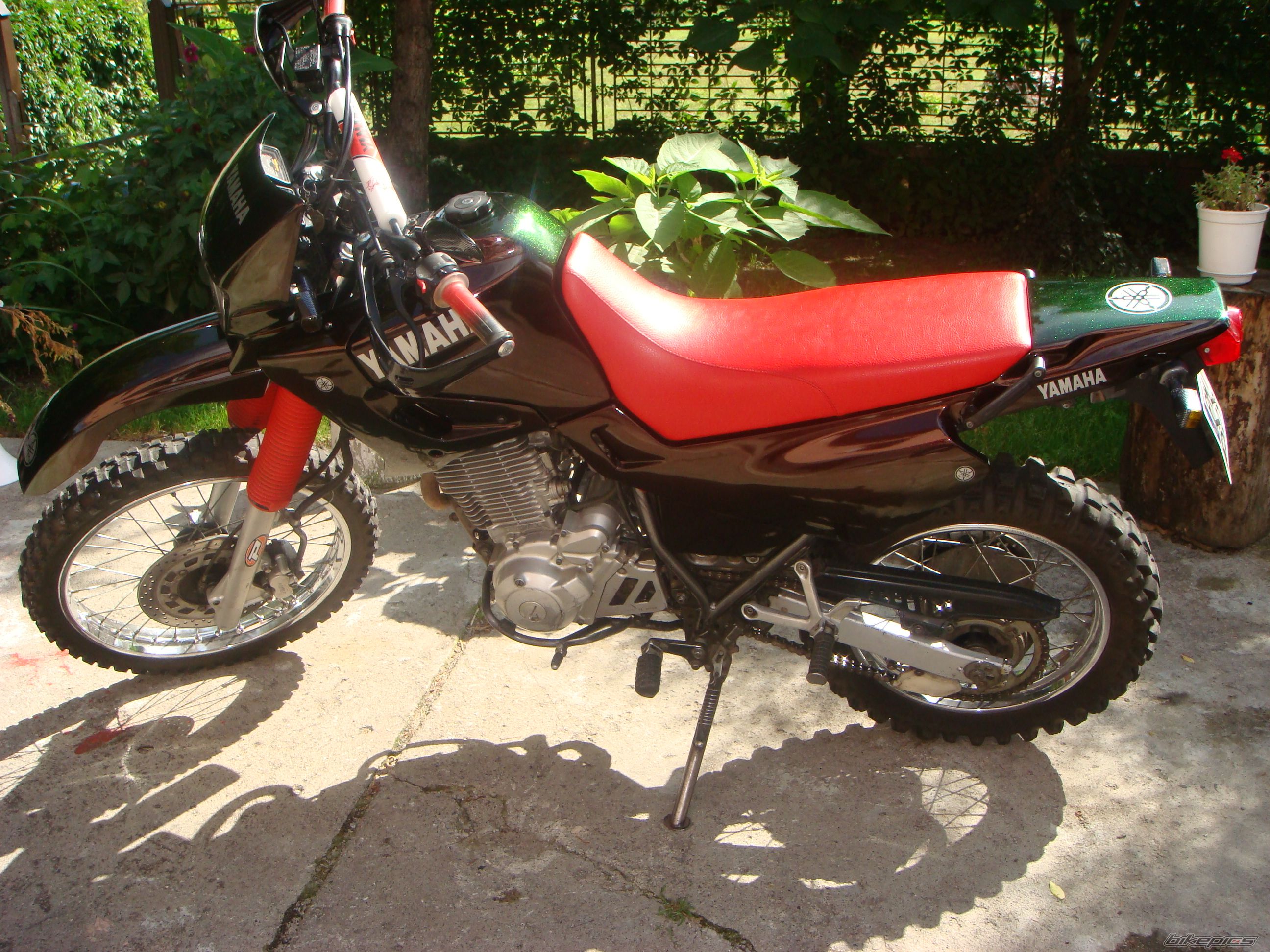 Photo 994842