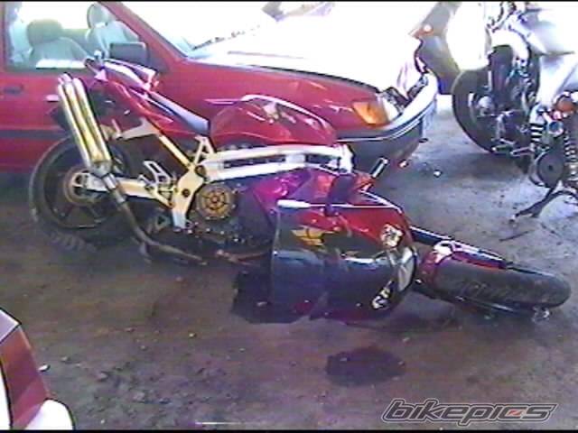 Photo 99499