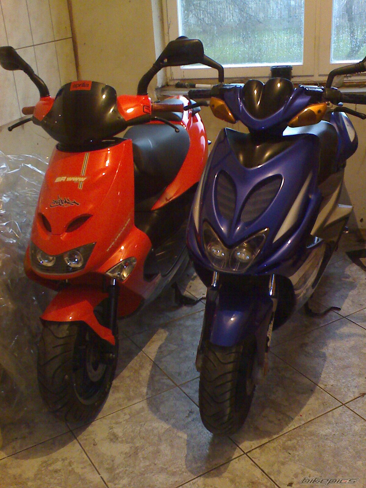 Photo 995028
