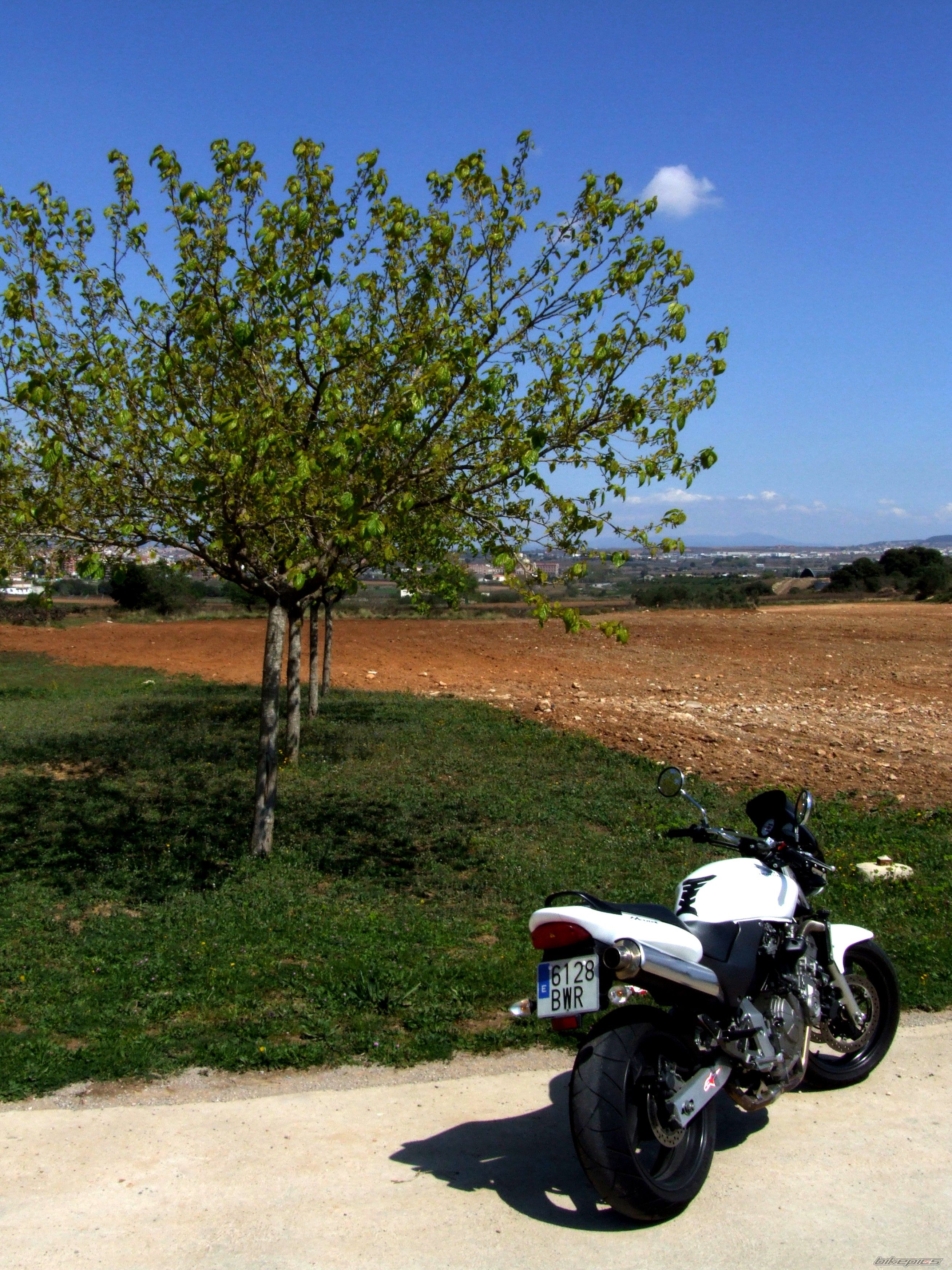 Photo 995134