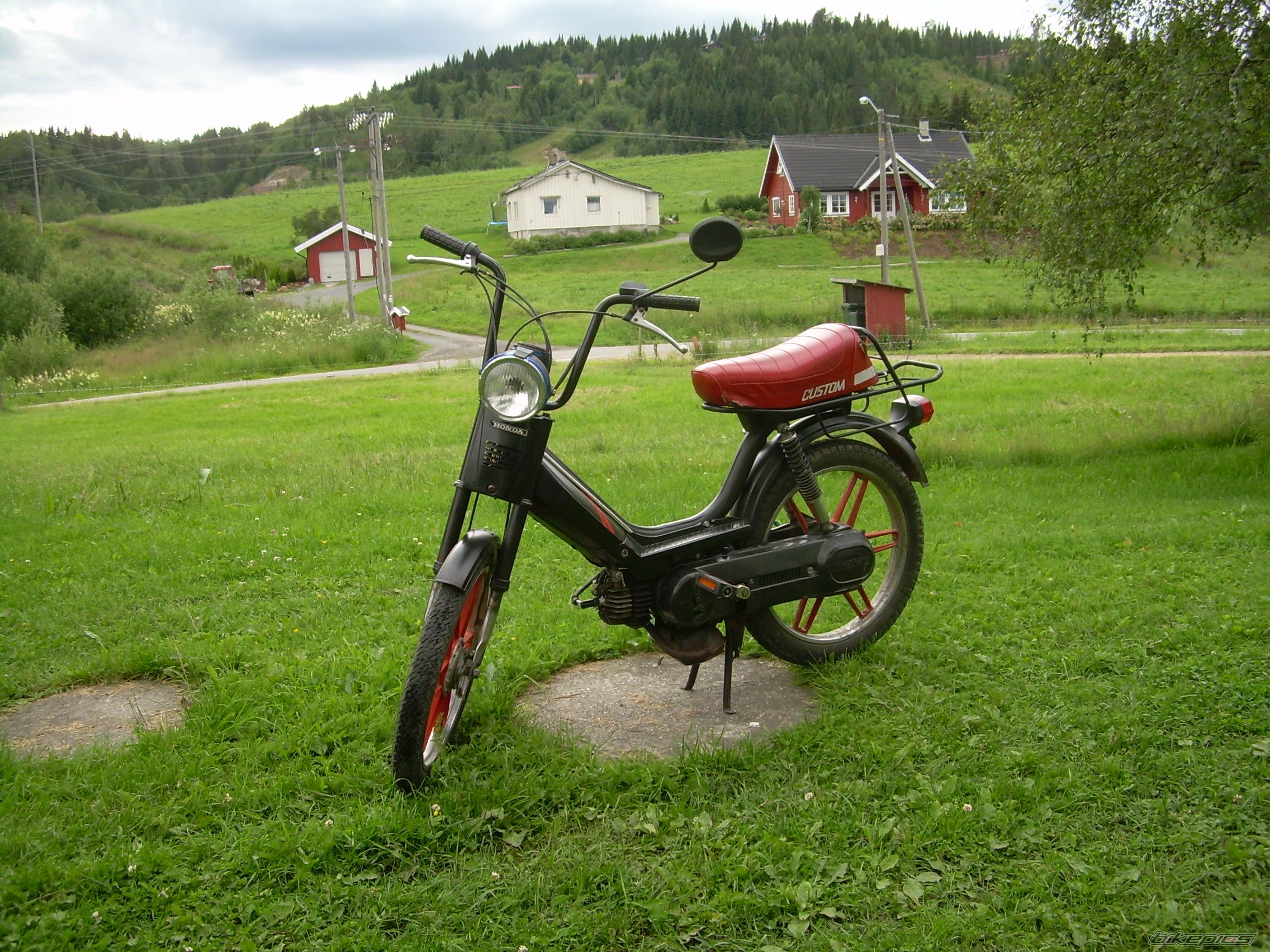 Photo 995486