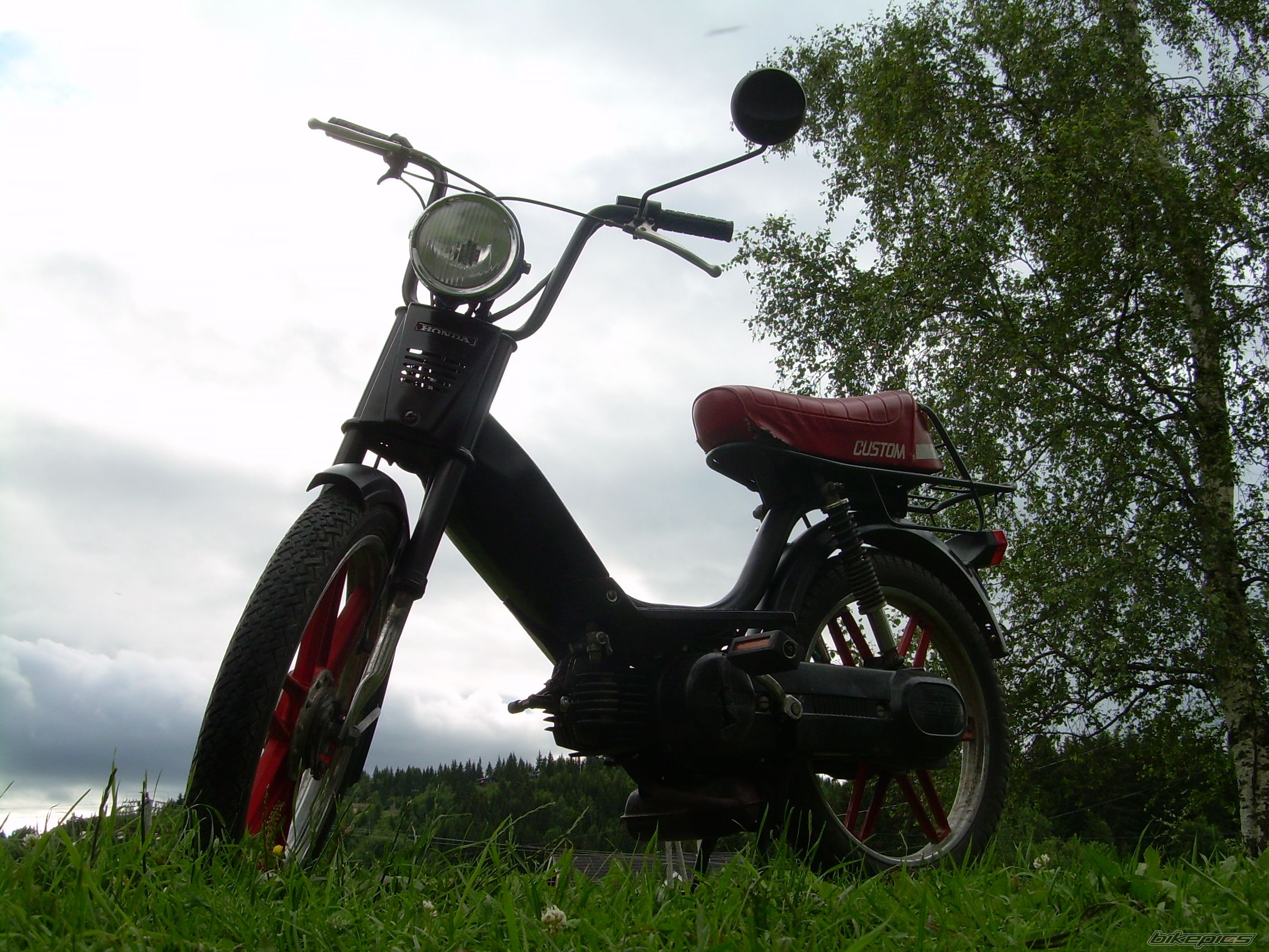 Photo 995487