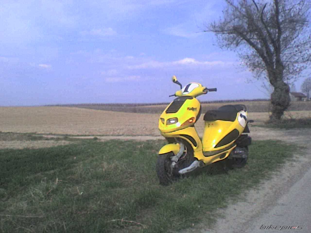 Photo 995496