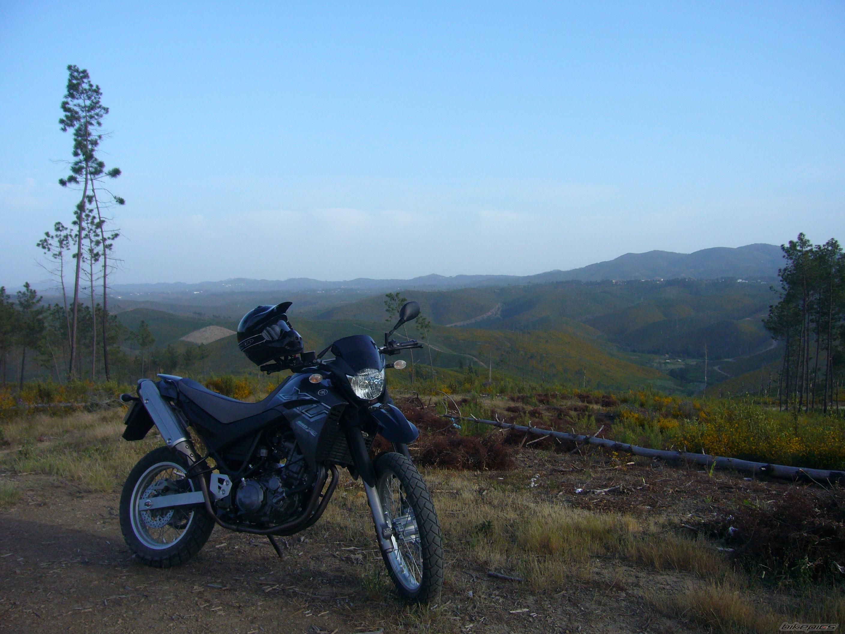 Bike Photo 995539
