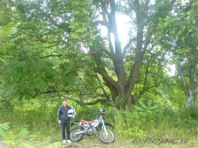 Photo 995543