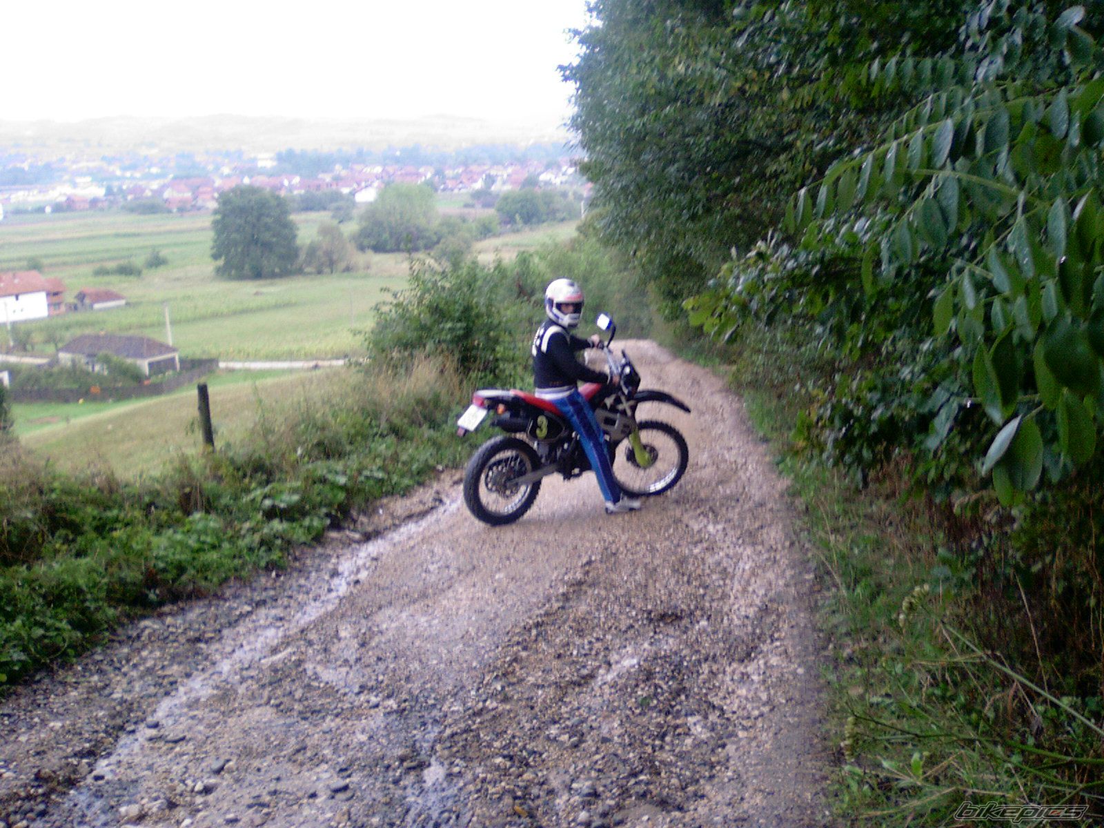 Photo 995559