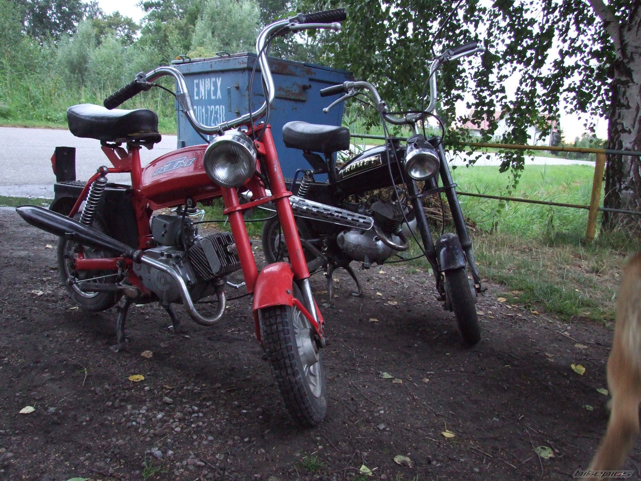 Photo 995628