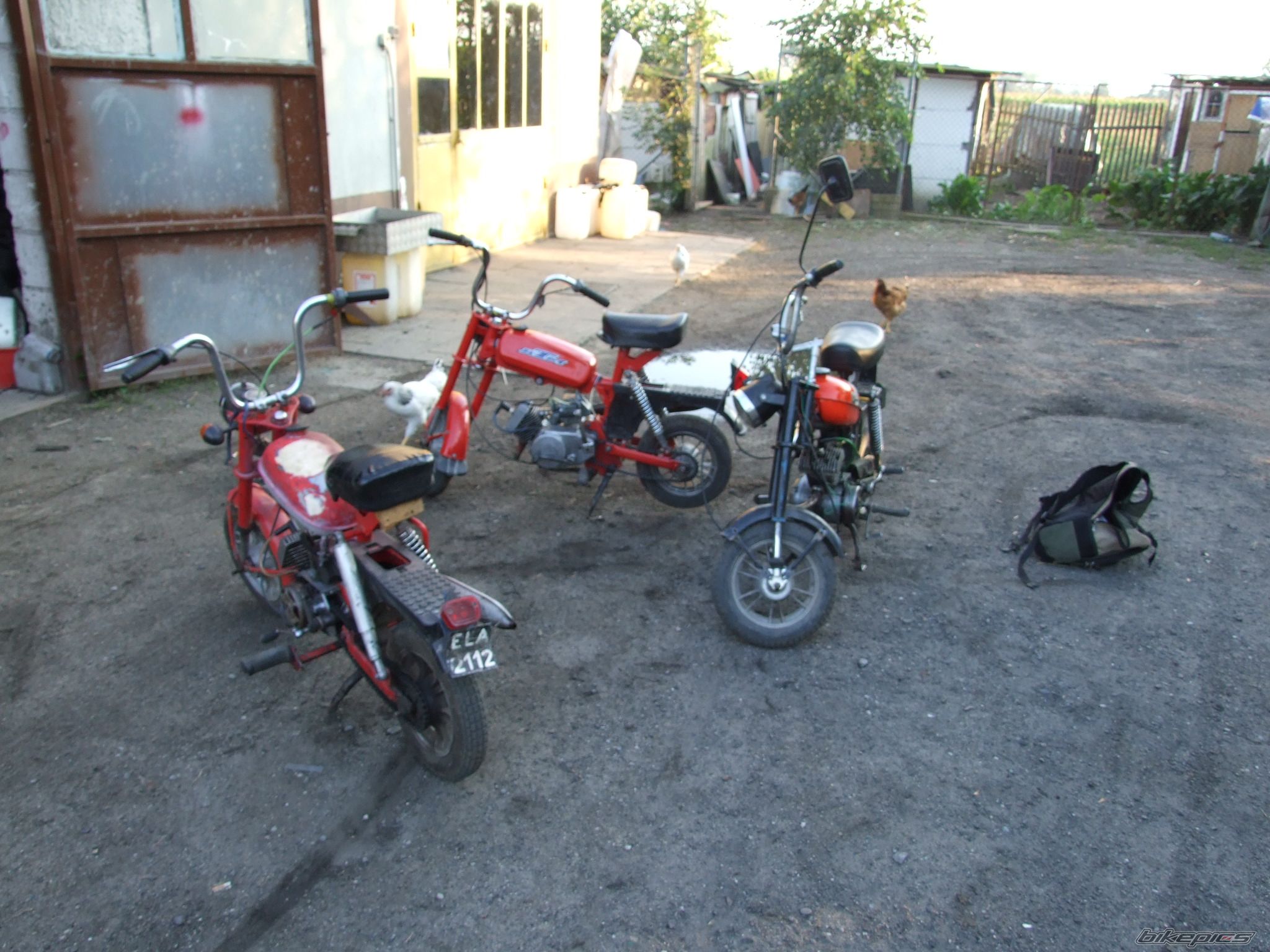 Photo 995636