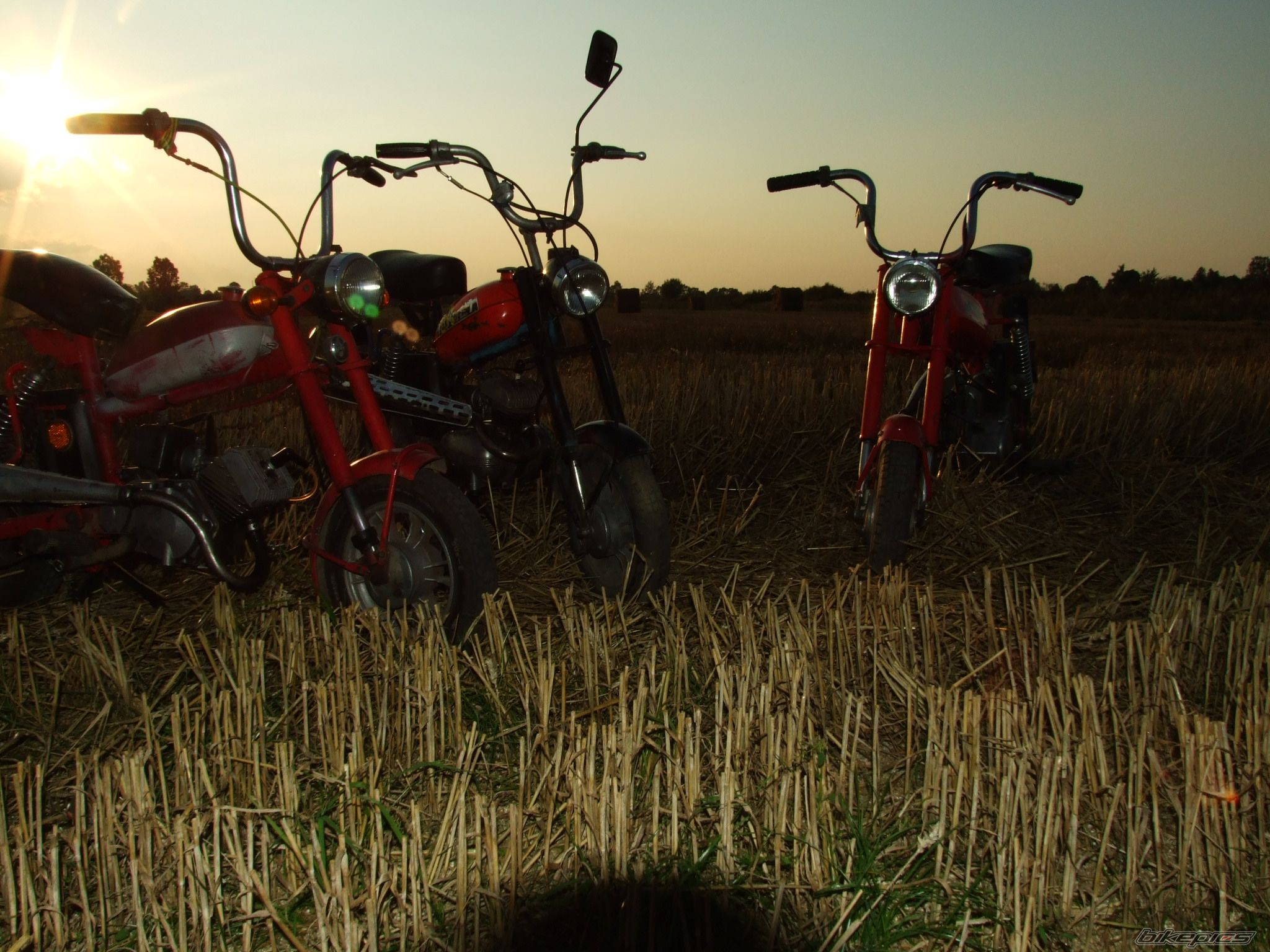 Photo 995650