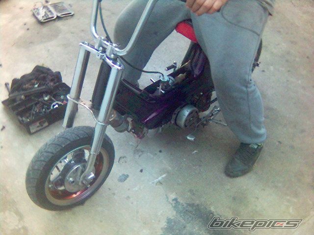 Photo 995661