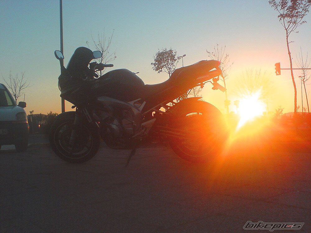 Photo 995971