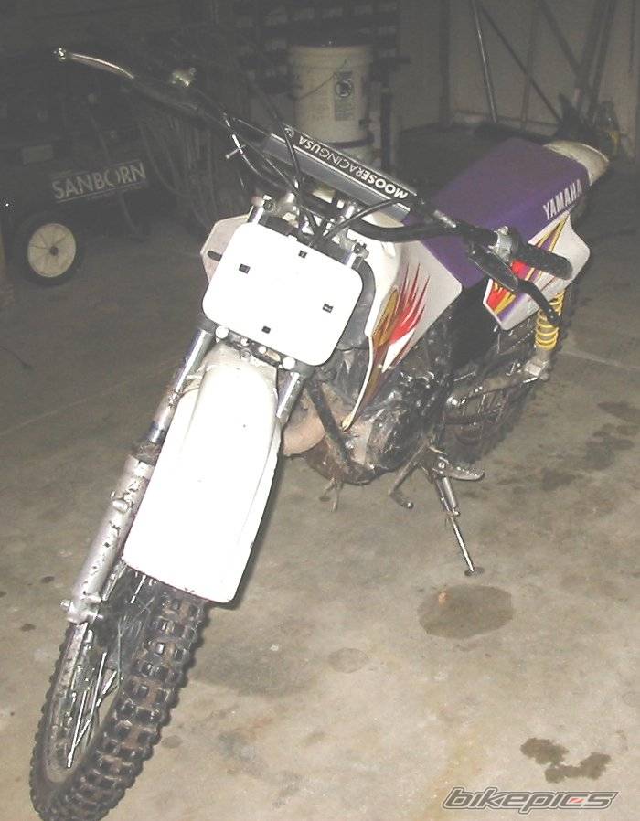 Photo 99598