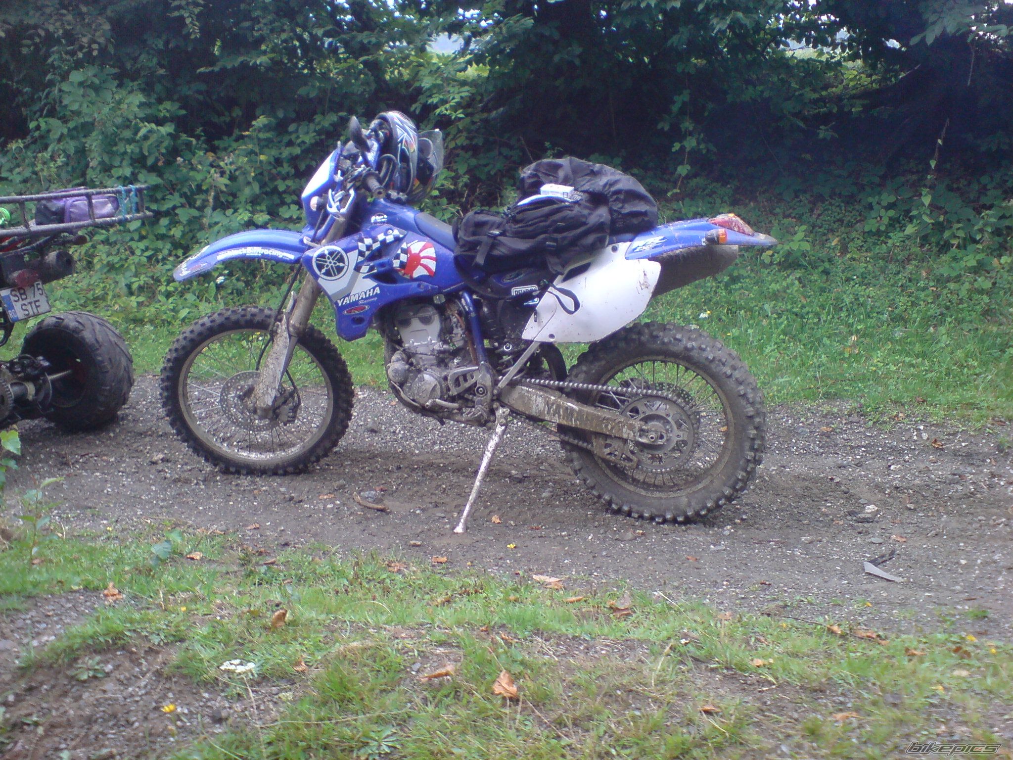 Photo 996013