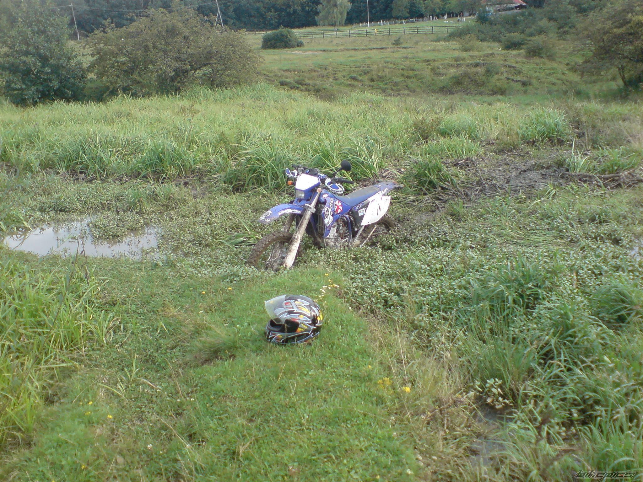 Photo 996014