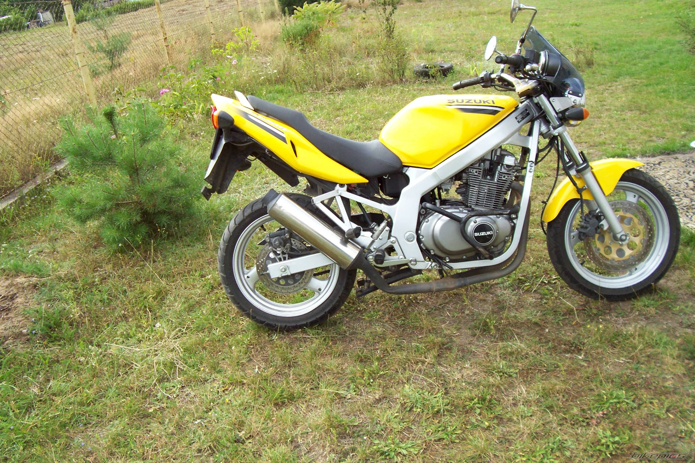 Photo 996268
