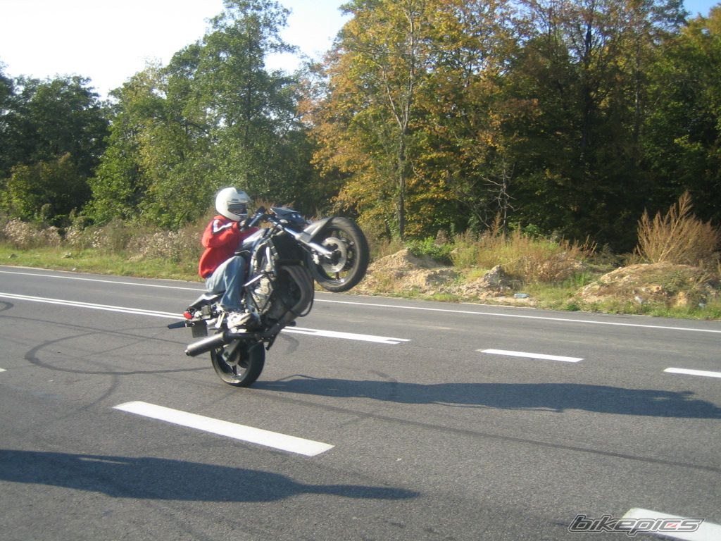 Photo 996273