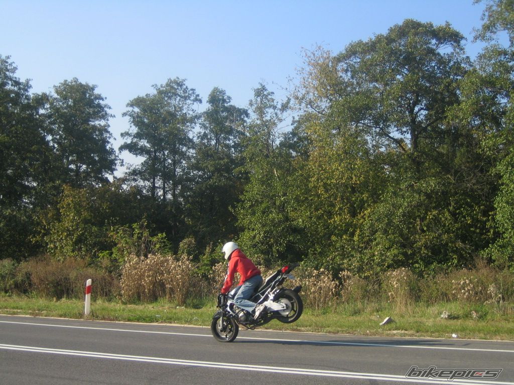 Photo 996276