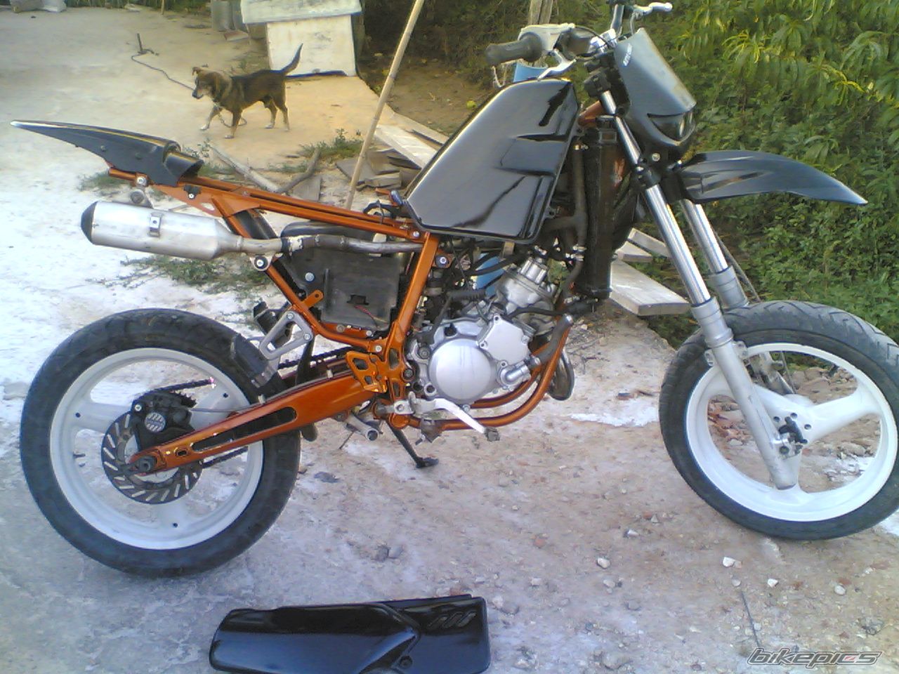 Photo 996495