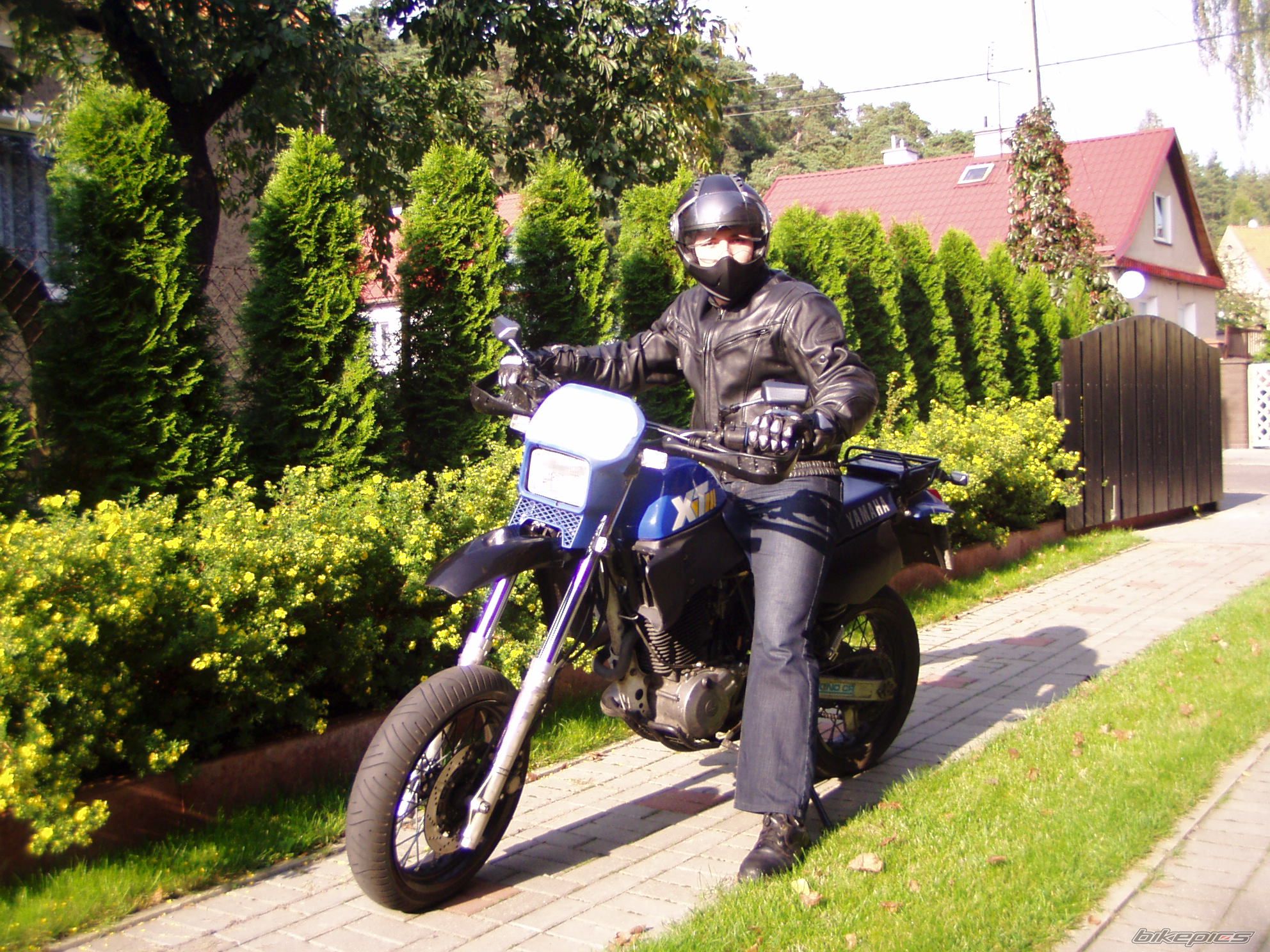 Photo 996755