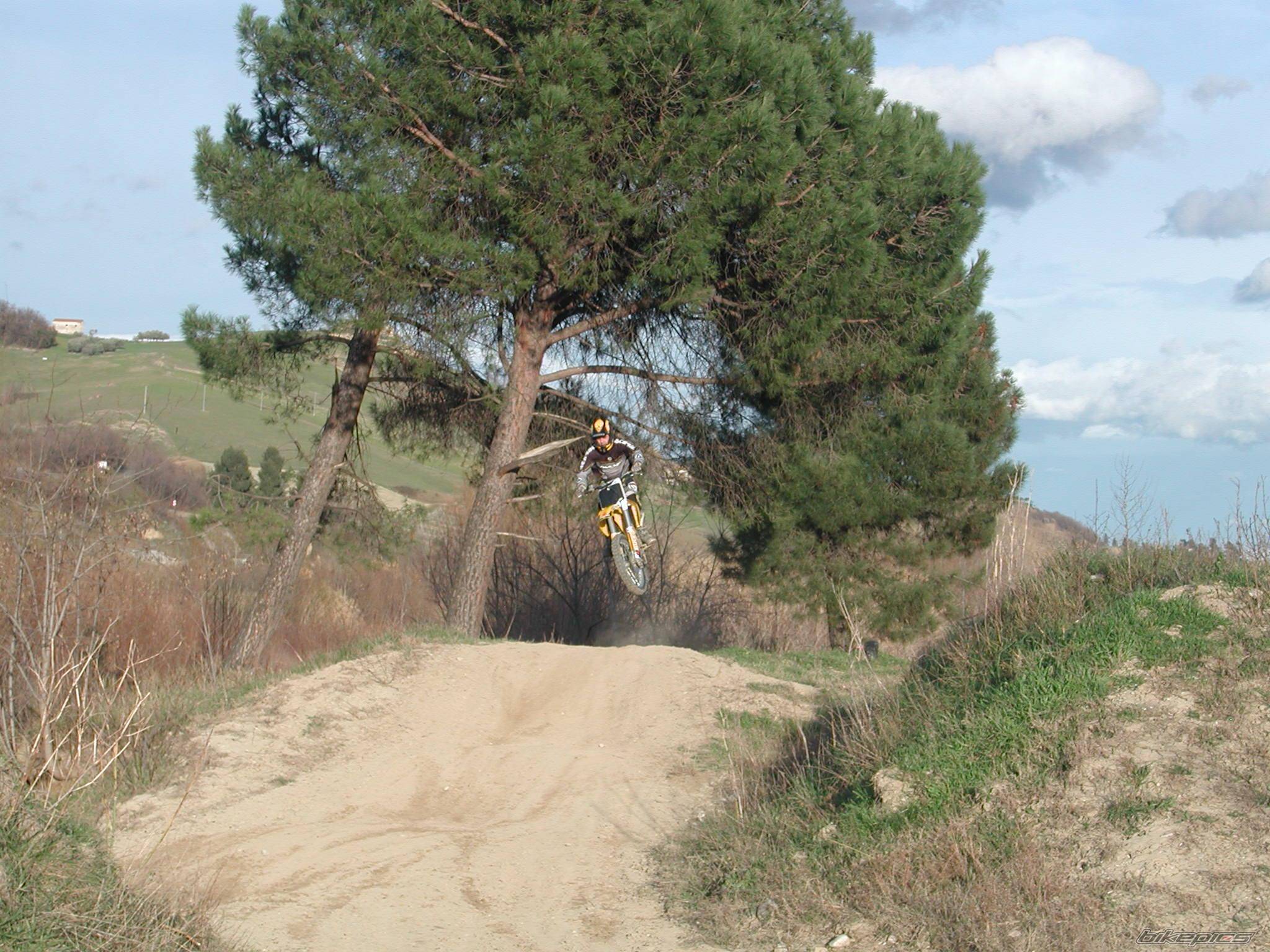 Photo 99679