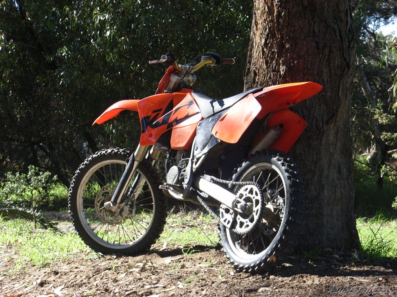 Photo 996909