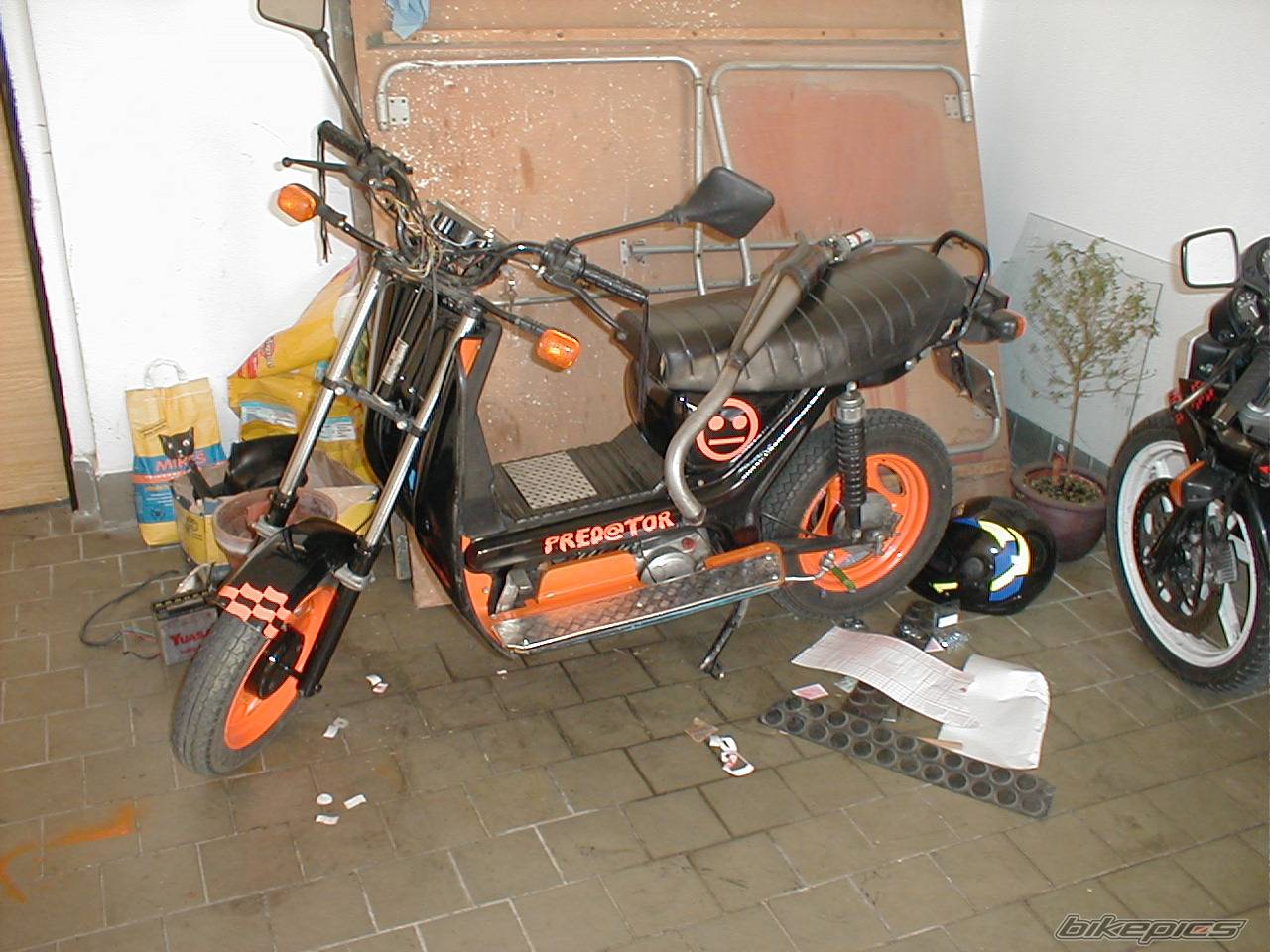 Photo 99695