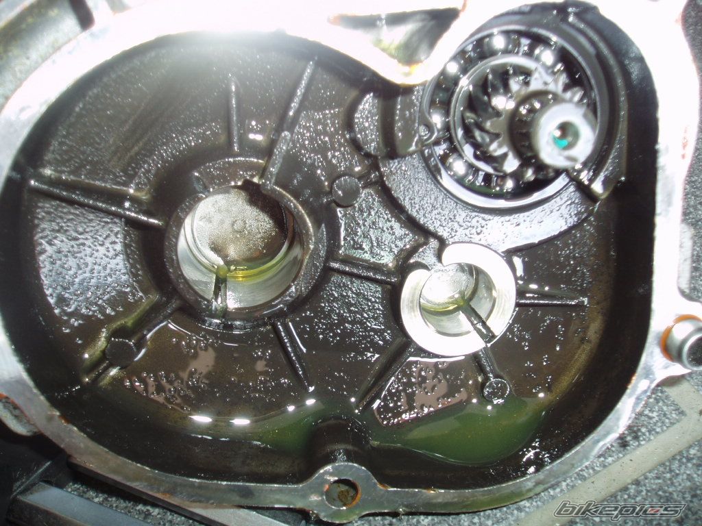 Photo 996971
