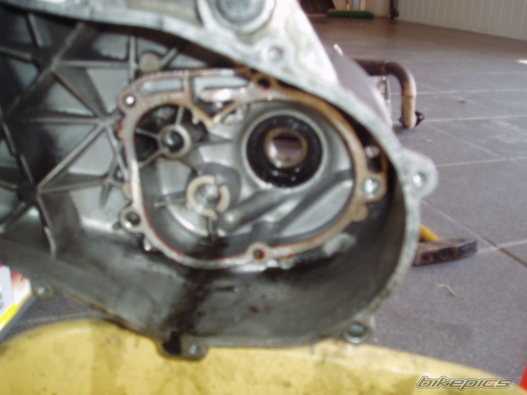 Photo 996972