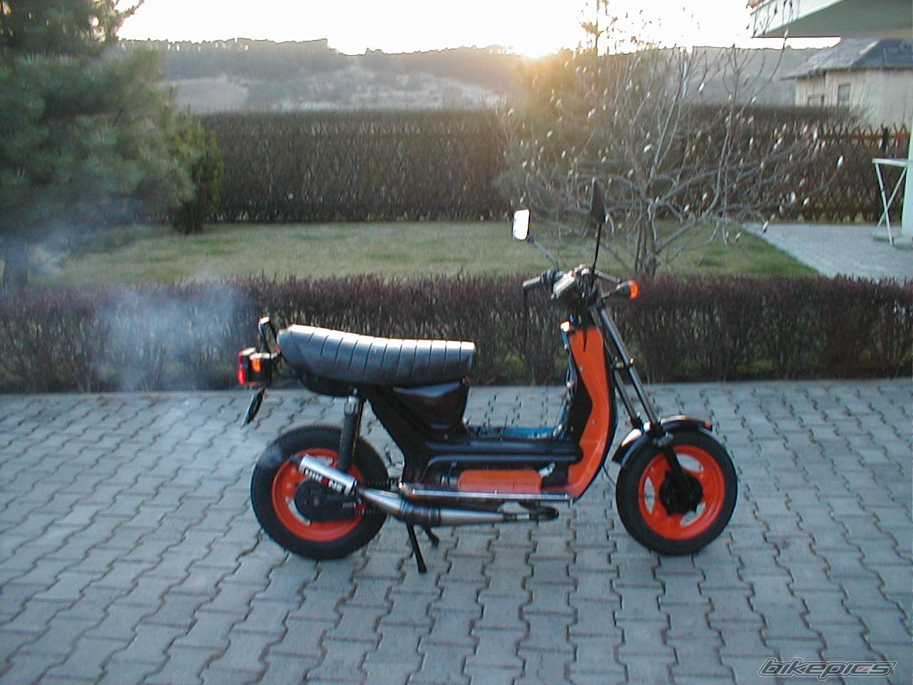 Photo 99699
