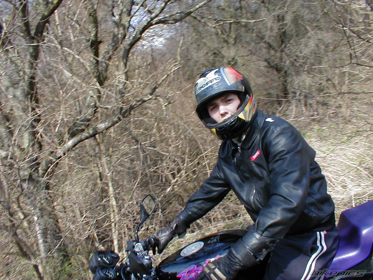 Photo 99704