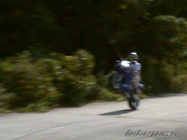 Photo 9971