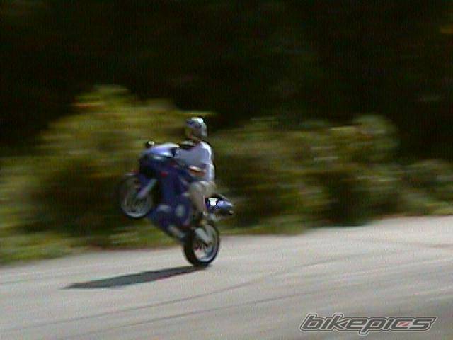 Photo 9972