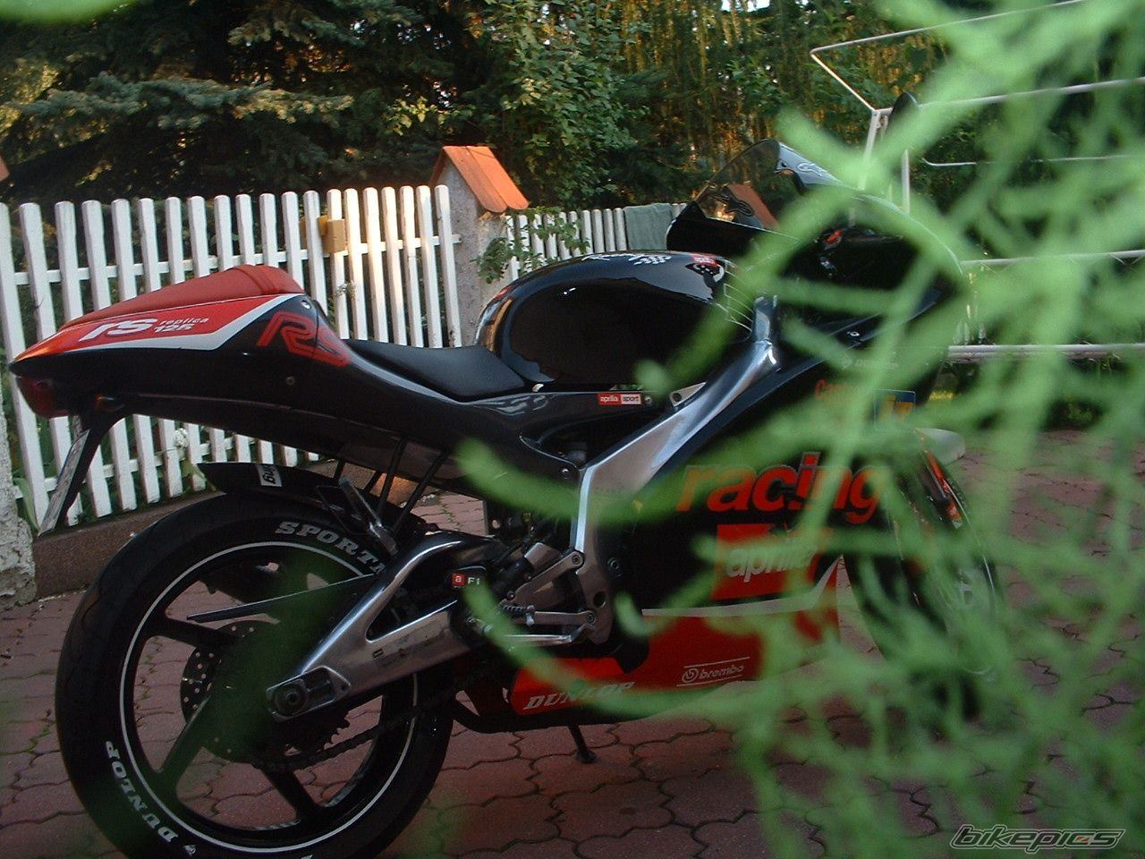 Photo 997242